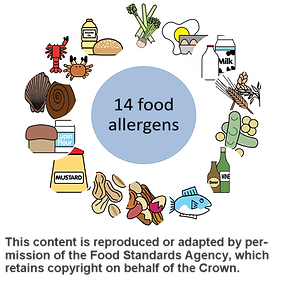 An educational image showcasing the 14 different food allergens, aimed at raising awareness and promoting health.